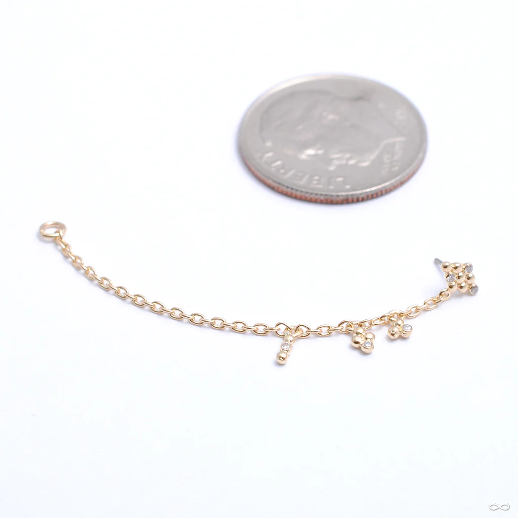This & That Lasso Press-fit End in Gold from Pupil Hall - Image 5