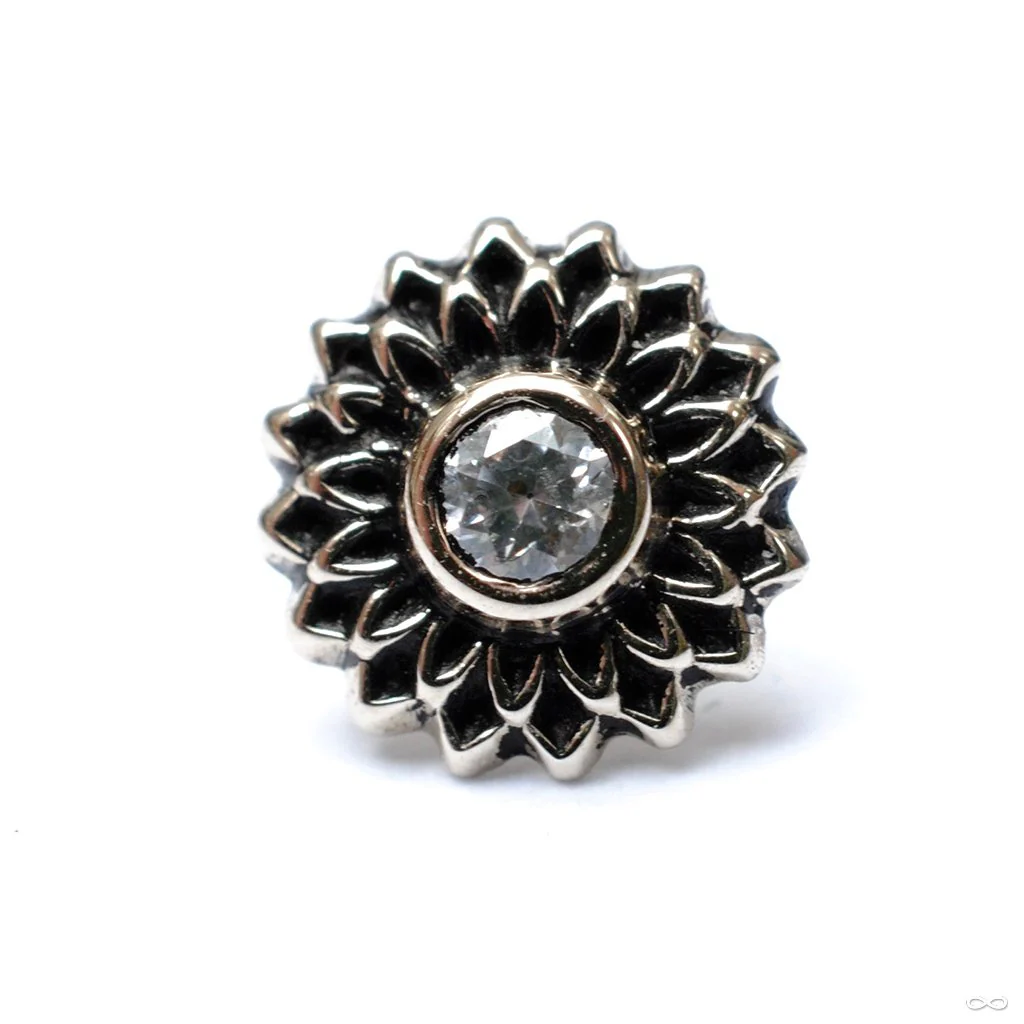 Thrive Press-fit End in Gold from Maya Jewelry - Image 5