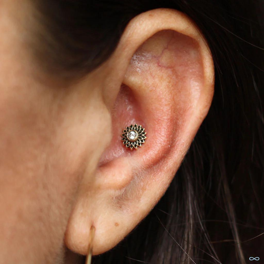 Thrive Press-fit End in Gold from Maya Jewelry - Image 6