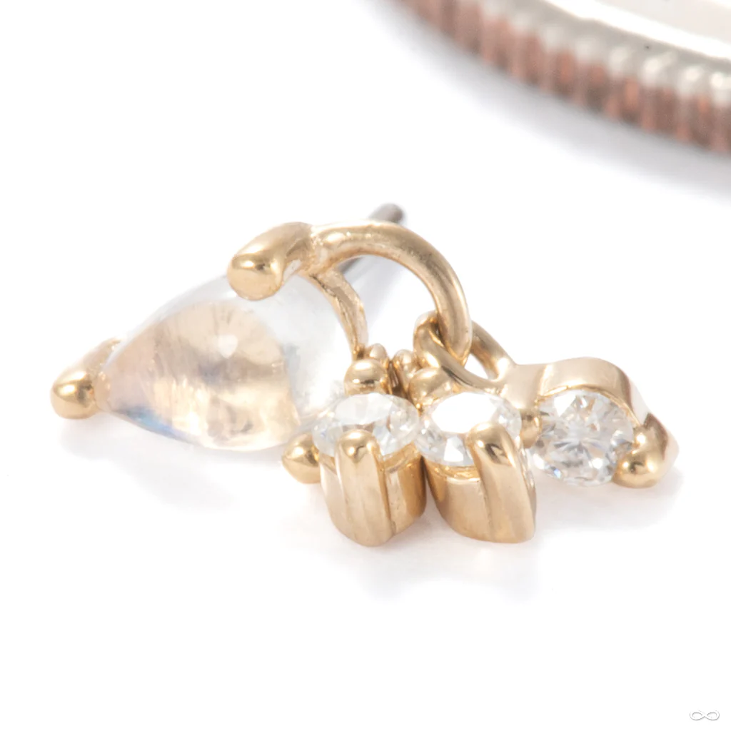 Tinsel Press-fit End in Gold from Ember Body Jewelry - Image 4