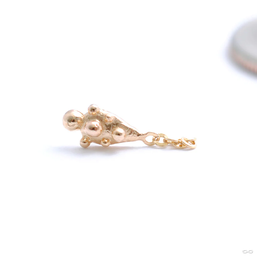 Too Short with Chain Press-fit End in Gold from Pupil Hall