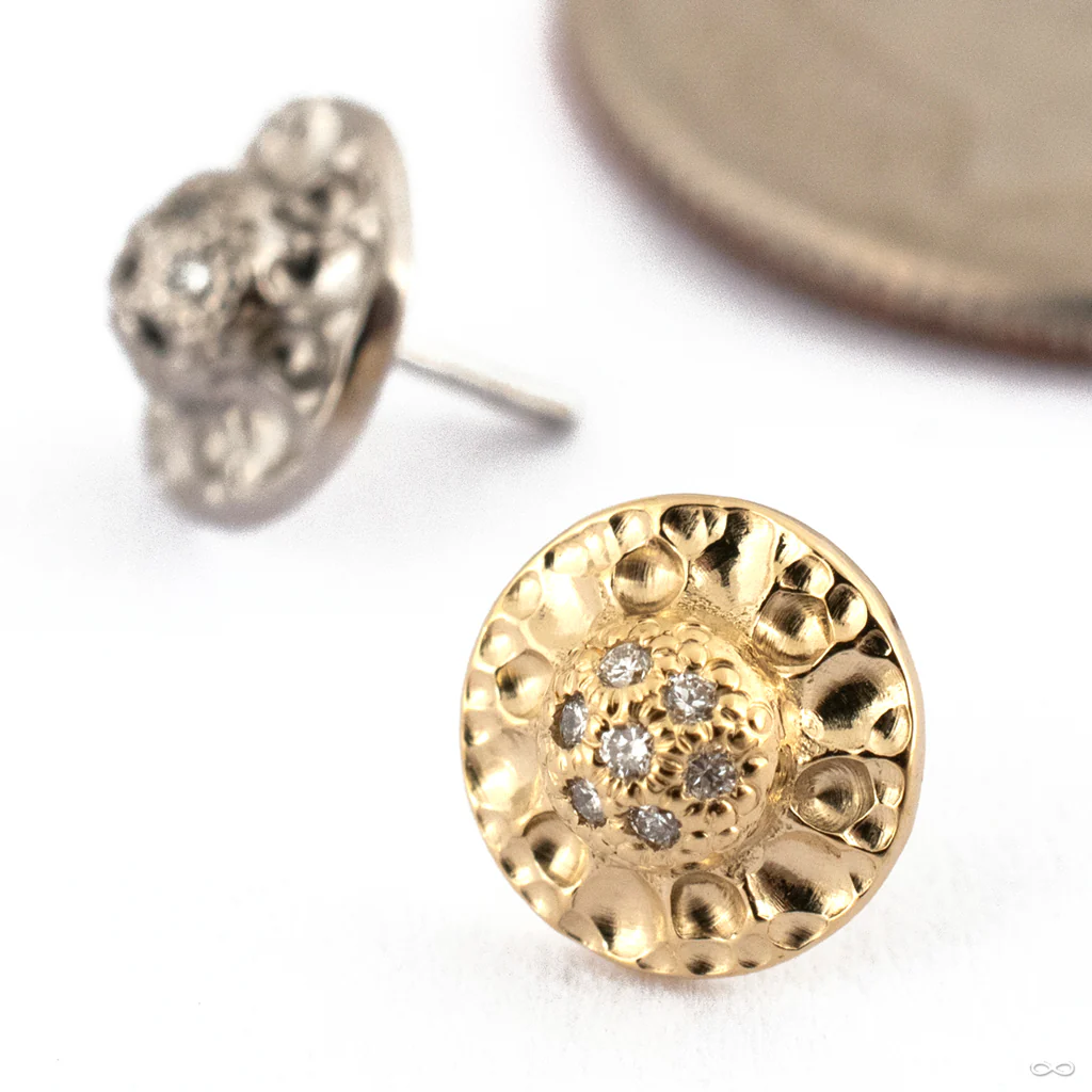 Traveler Ultimate Press-fit End in Gold from Seasons Handmade