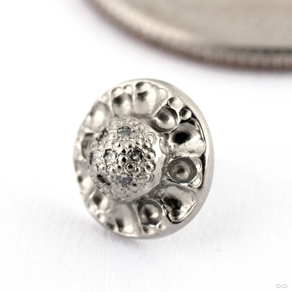 Traveler Ultimate Press-fit End in Gold from Seasons Handmade - Image 2