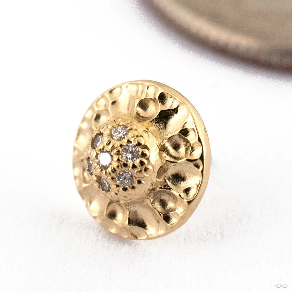 Traveler Ultimate Press-fit End in Gold from Seasons Handmade - Image 3
