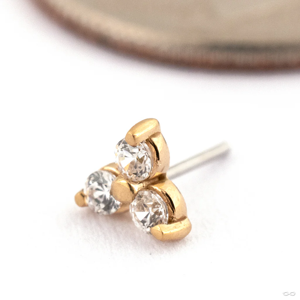 Trinity Press-fit End in Gold from LeRoi - Image 3