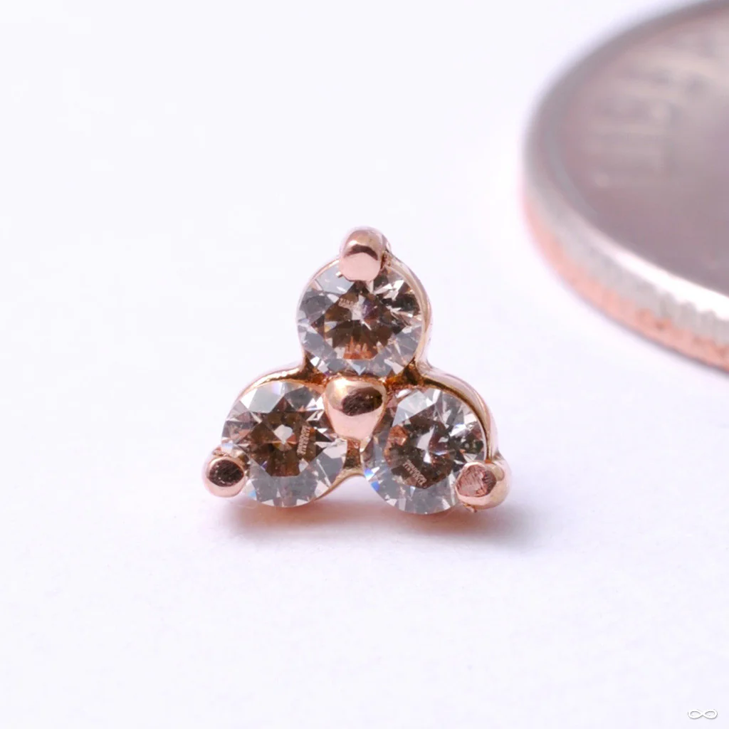 Trinity Press-fit End in Gold from LeRoi - Image 7