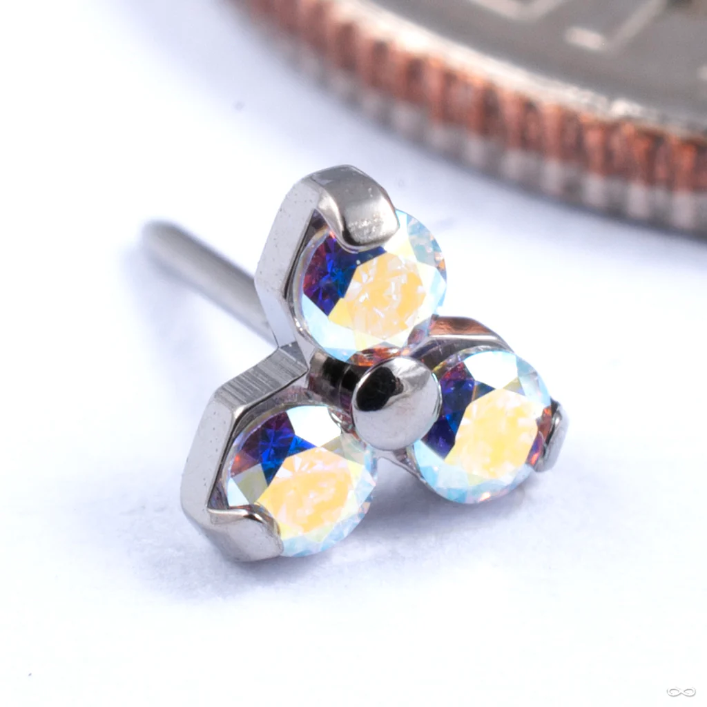 Trinity Press-fit End in Titanium from NeoMetal - Image 3