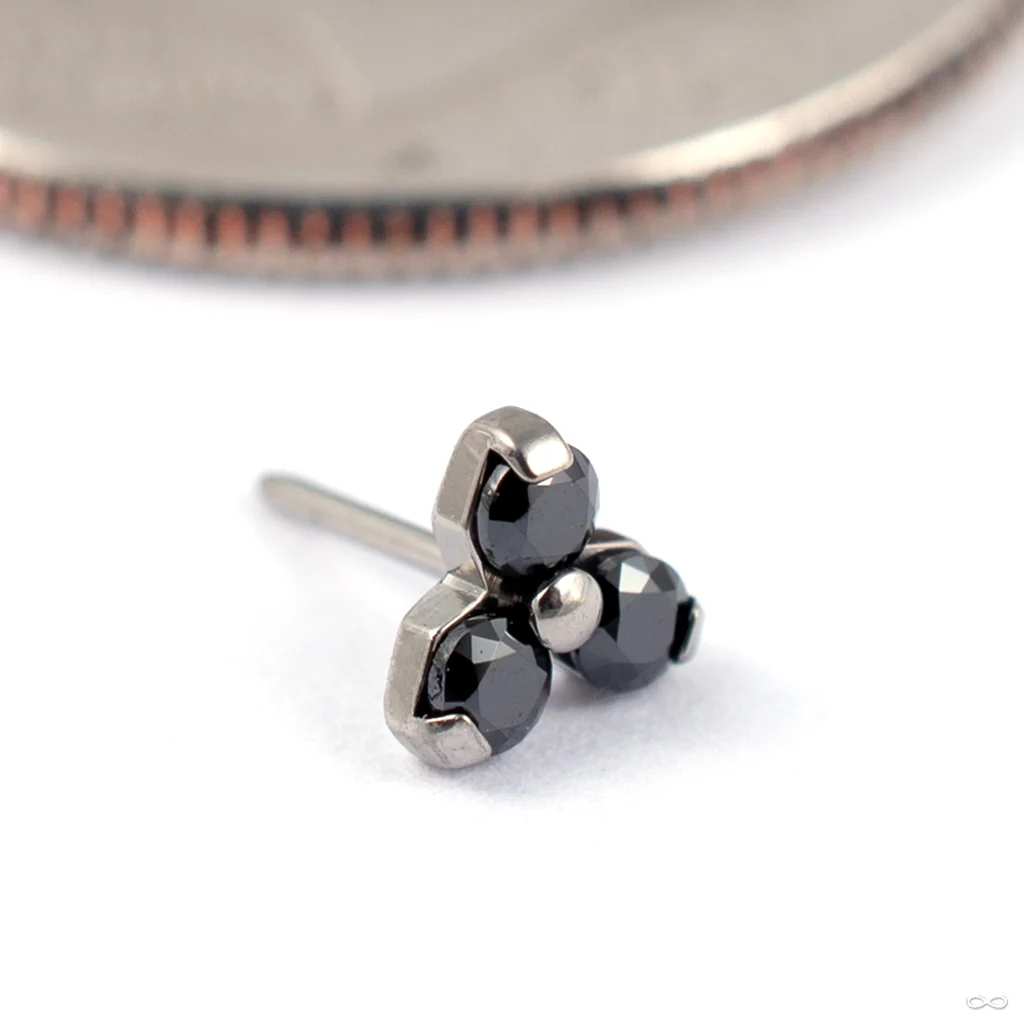 Trinity Press-fit End in Titanium from NeoMetal - Image 4