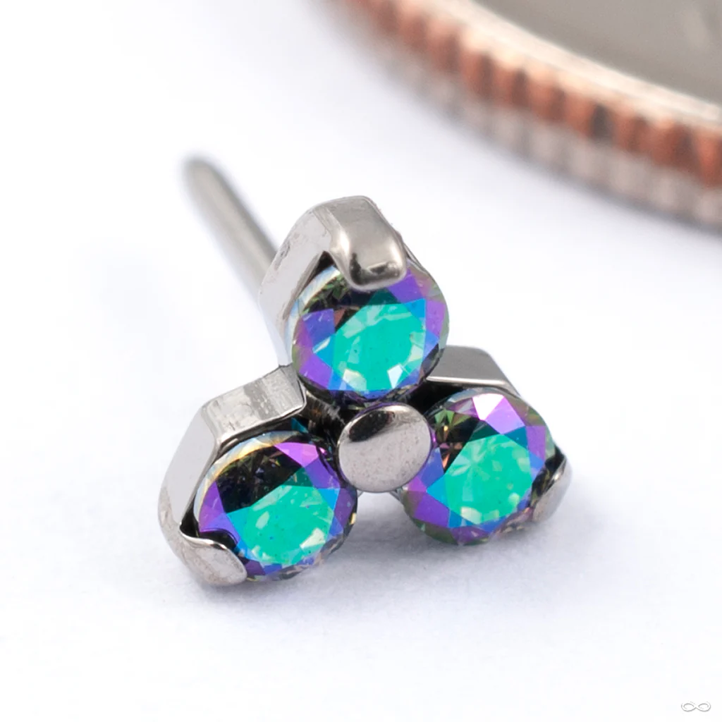 Trinity Press-fit End in Titanium from NeoMetal - Image 5