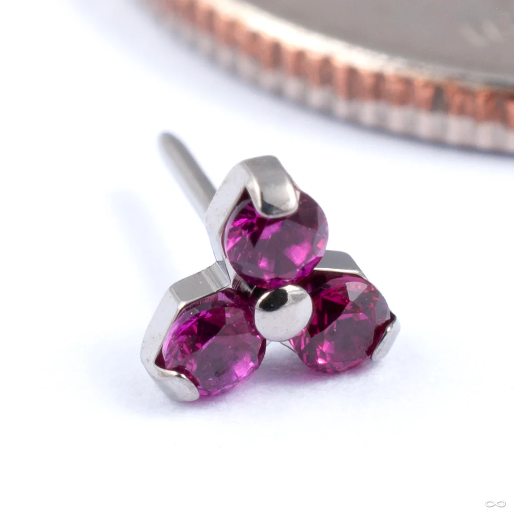 Trinity Press-fit End in Titanium from NeoMetal - Image 6