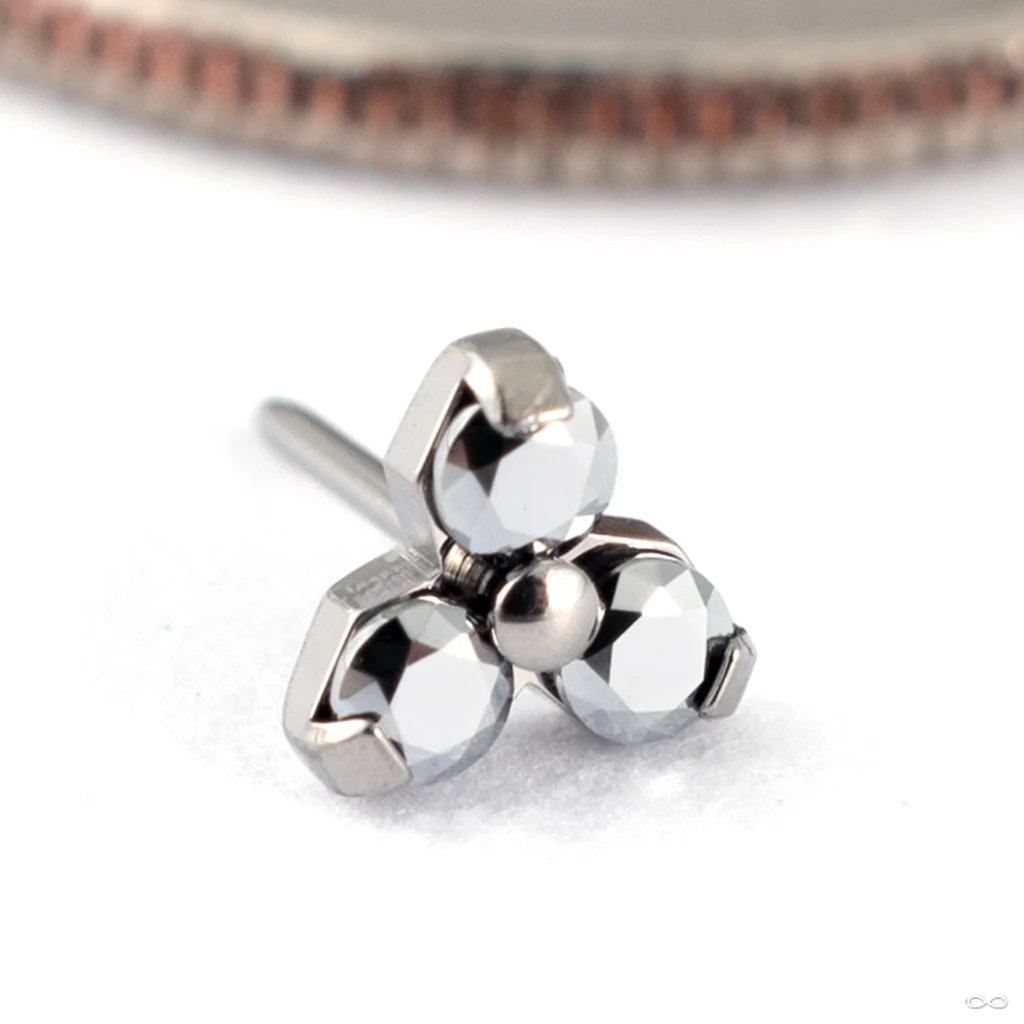Trinity Press-fit End in Titanium from NeoMetal - Image 7