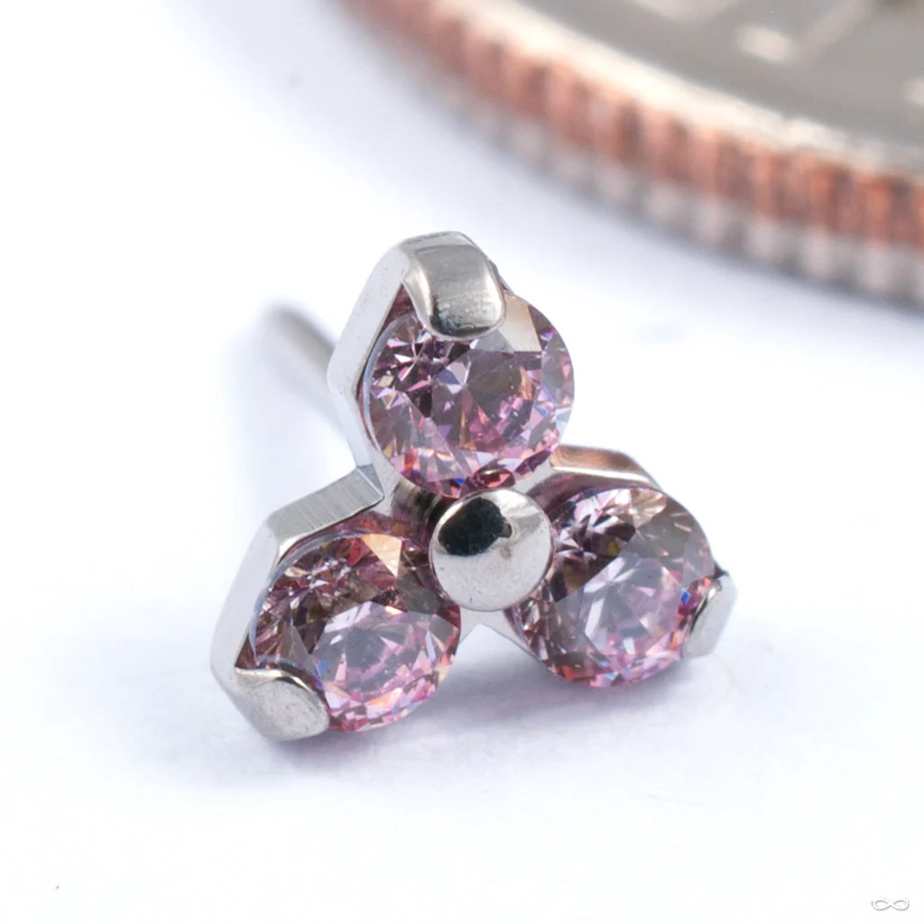 Trinity Press-fit End in Titanium from NeoMetal - Image 8