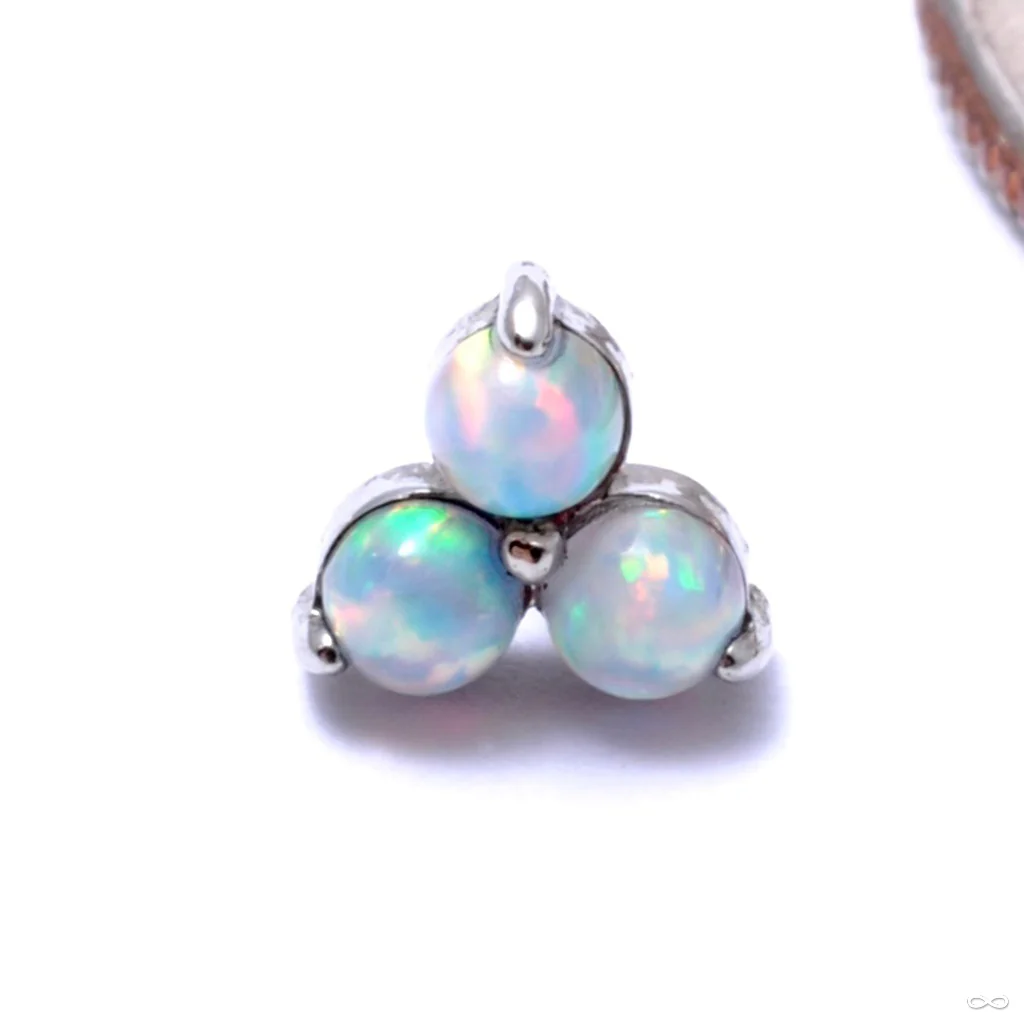 Trio Press-fit End in Gold from Anatometal - Image 7
