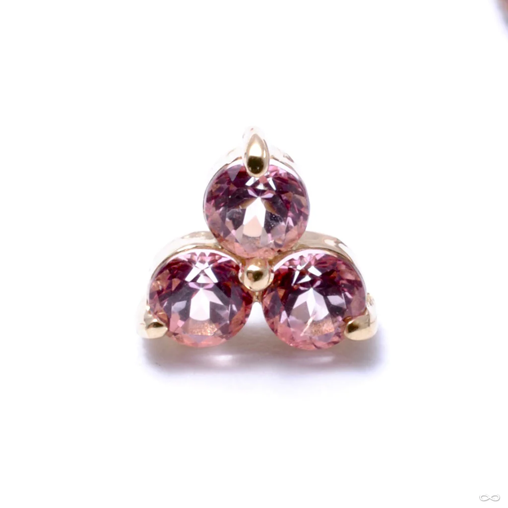 Trio Press-fit End in Gold from Anatometal - Image 8