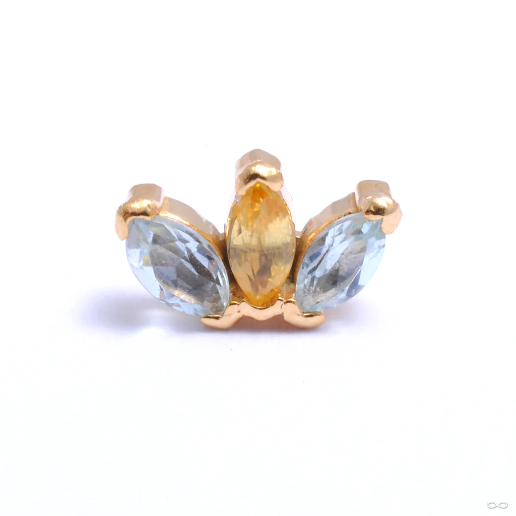 Triple Marquise Press-fit End in Gold from Quetzalli - Image 6