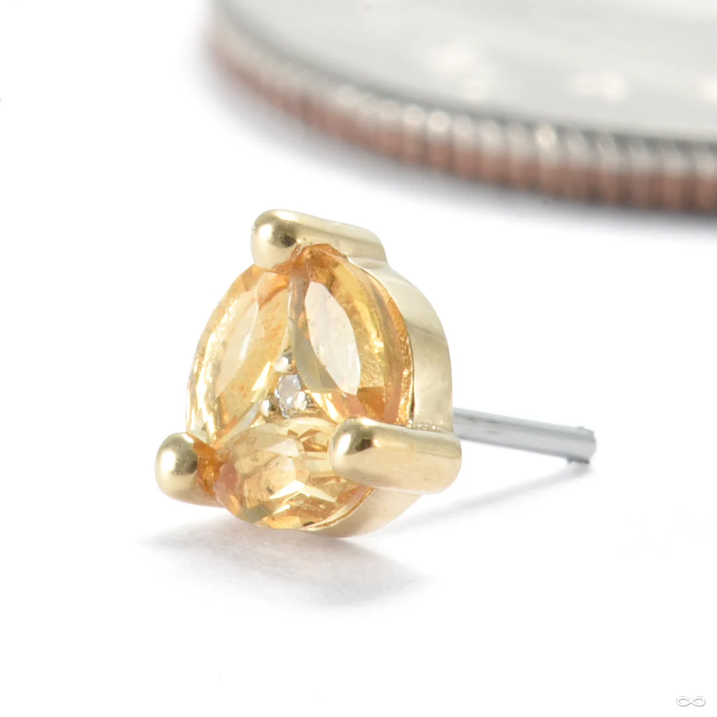 Triple Threat Press-fit End in Gold from Ember Body Jewelry - Image 5