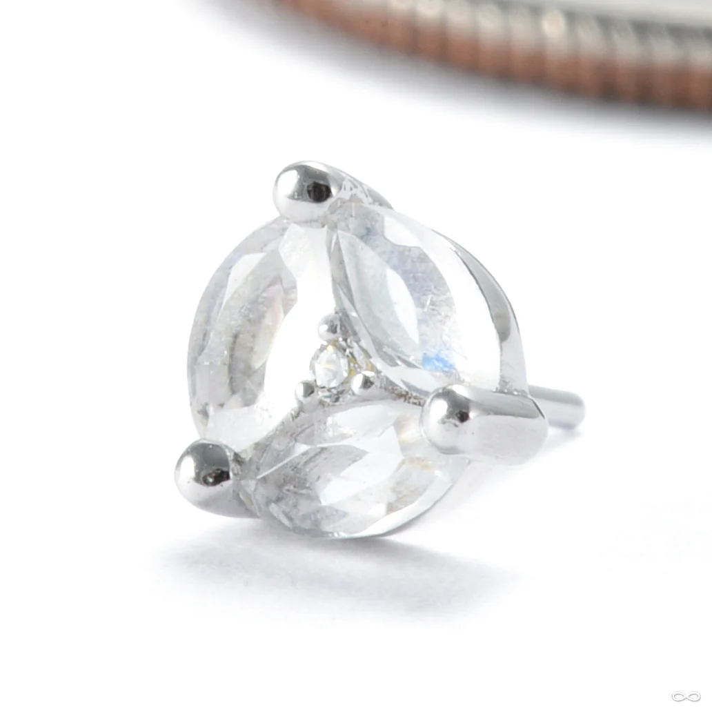 Triple Threat Press-fit End in Gold from Ember Body Jewelry - Image 7