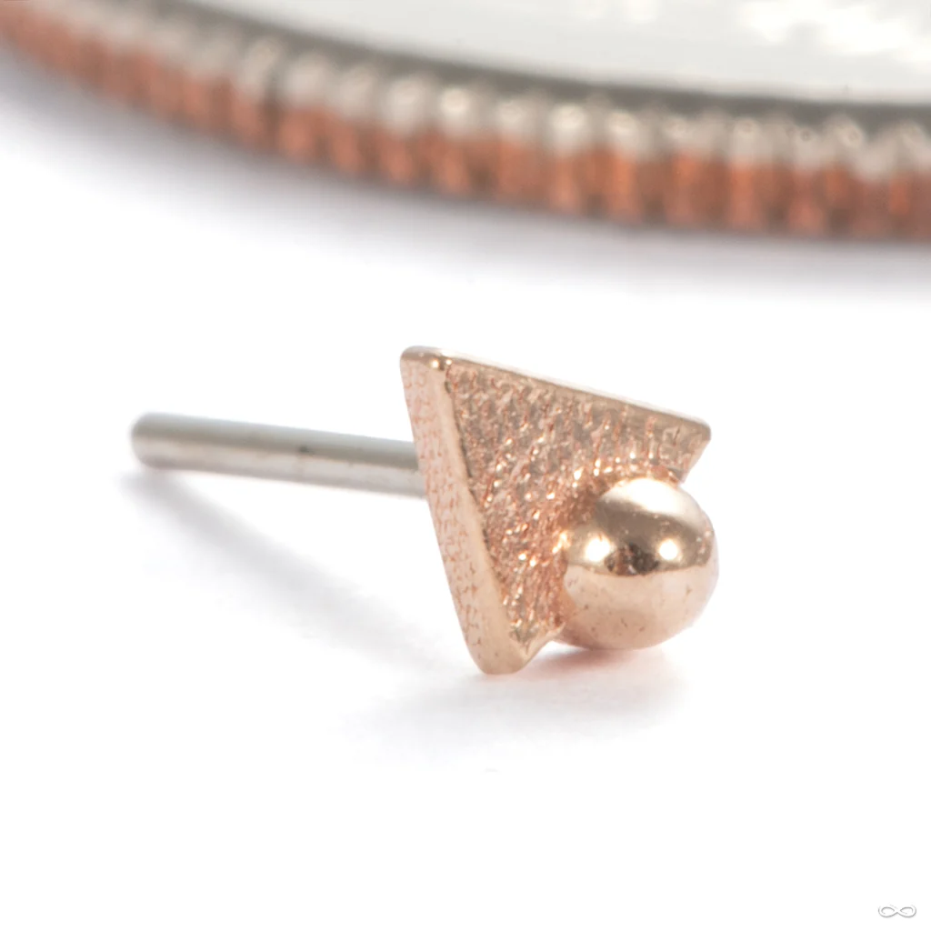 Tryangle with Dottie Press-fit End in Gold from Pupil Hall - Image 2