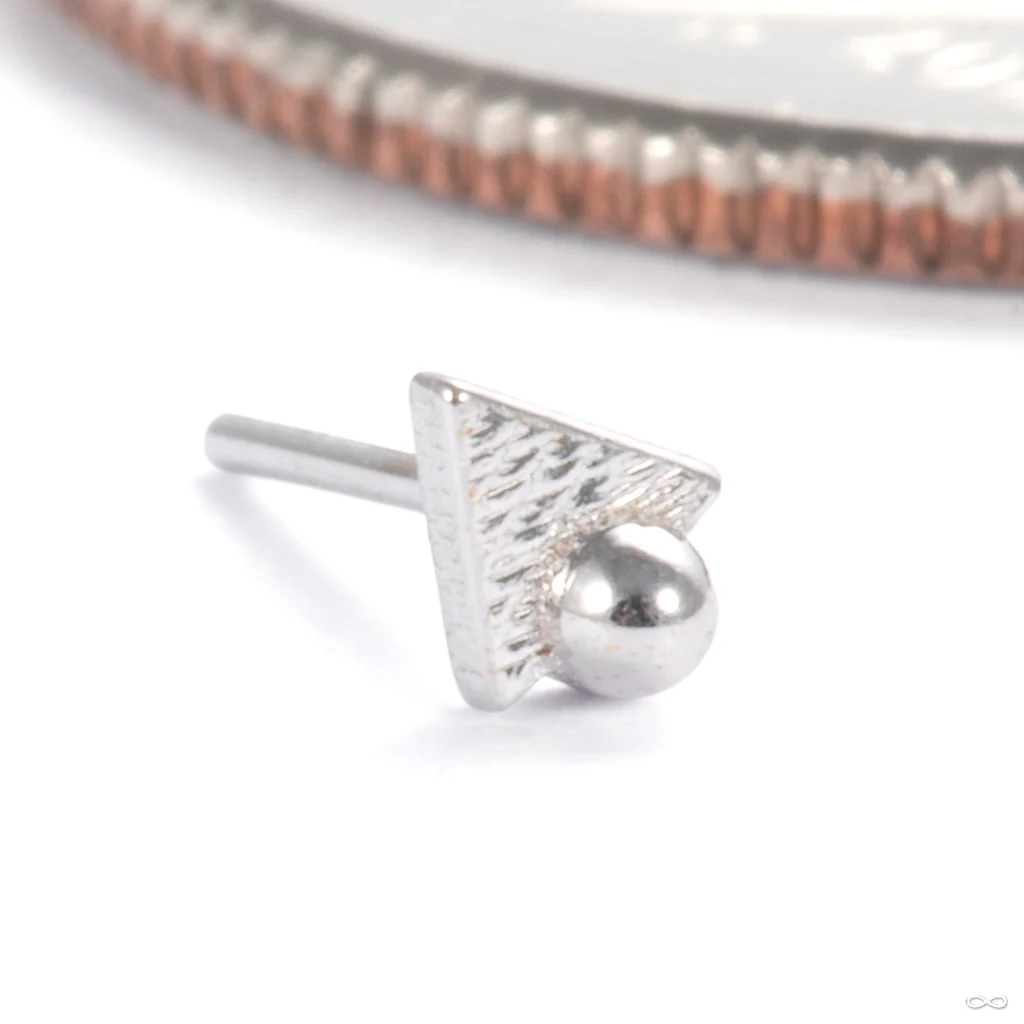 Tryangle with Dottie Press-fit End in Gold from Pupil Hall - Image 3