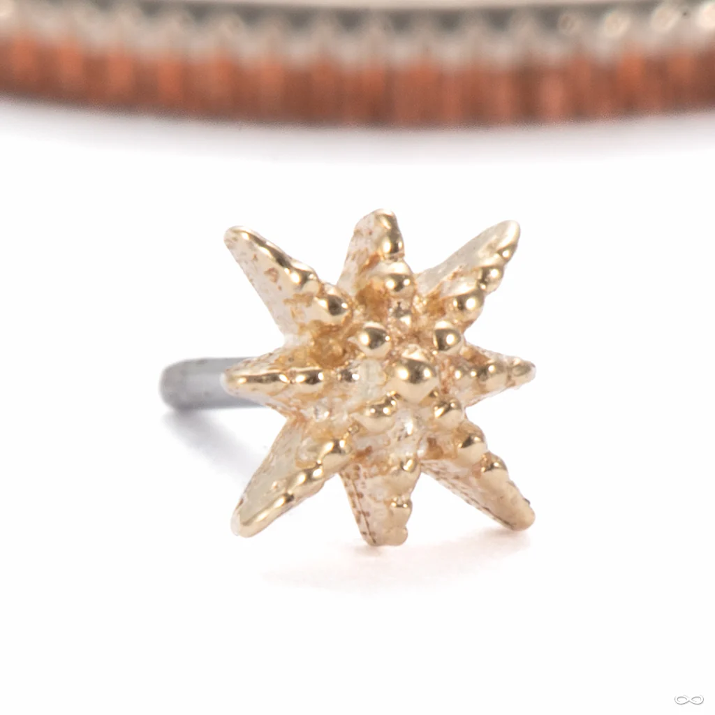 Twinkle Press-fit End in Gold from Tawapa