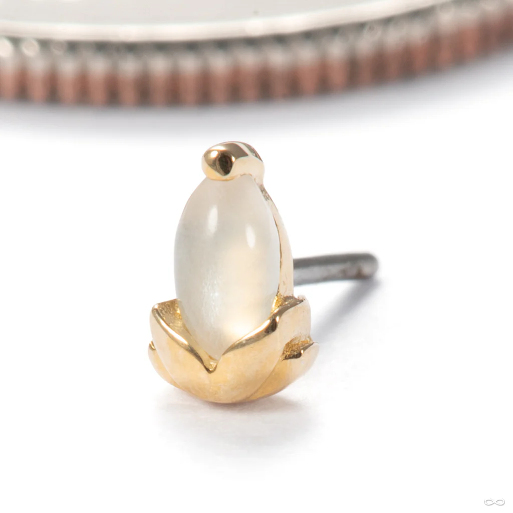 Uma Press-fit End in Gold from Junipurr Jewelry - Image 3