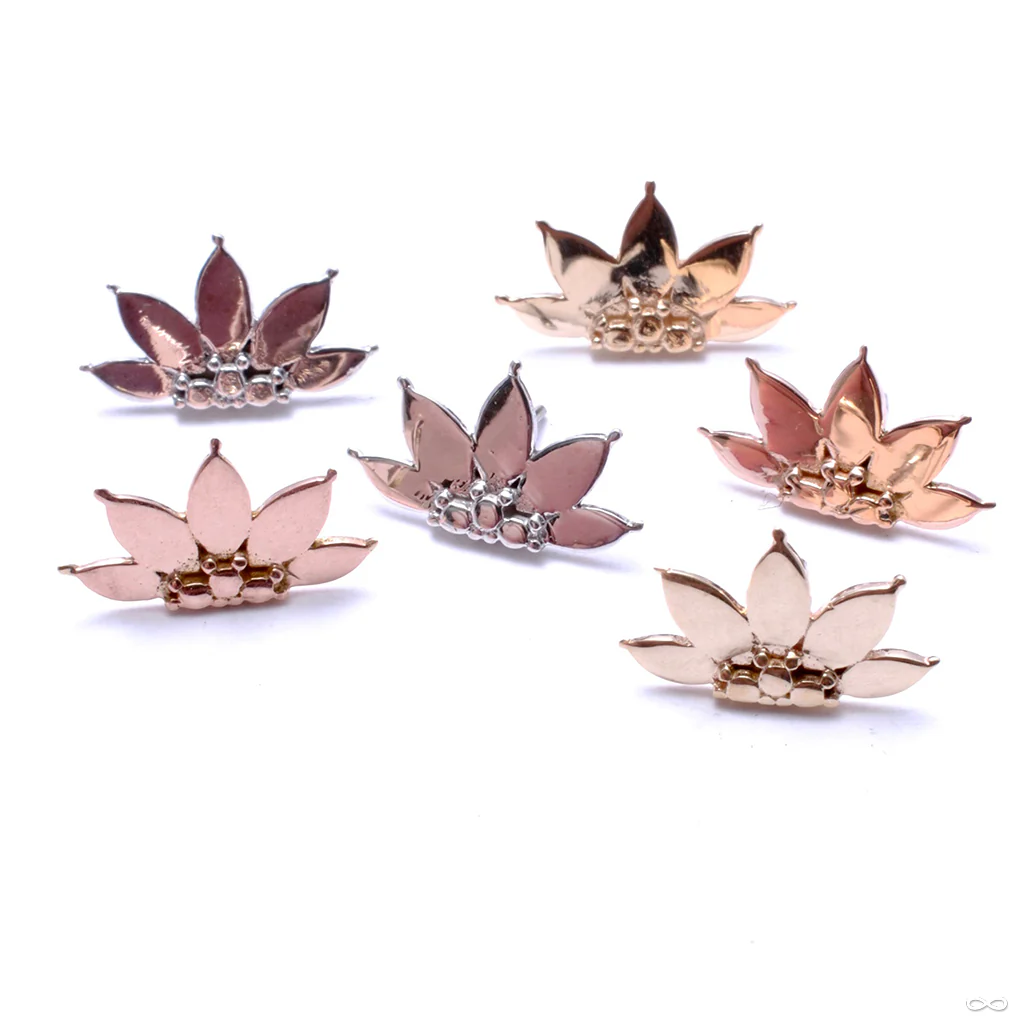 Valentina Press-fit End in Gold from Buddha Jewelry - Image 2