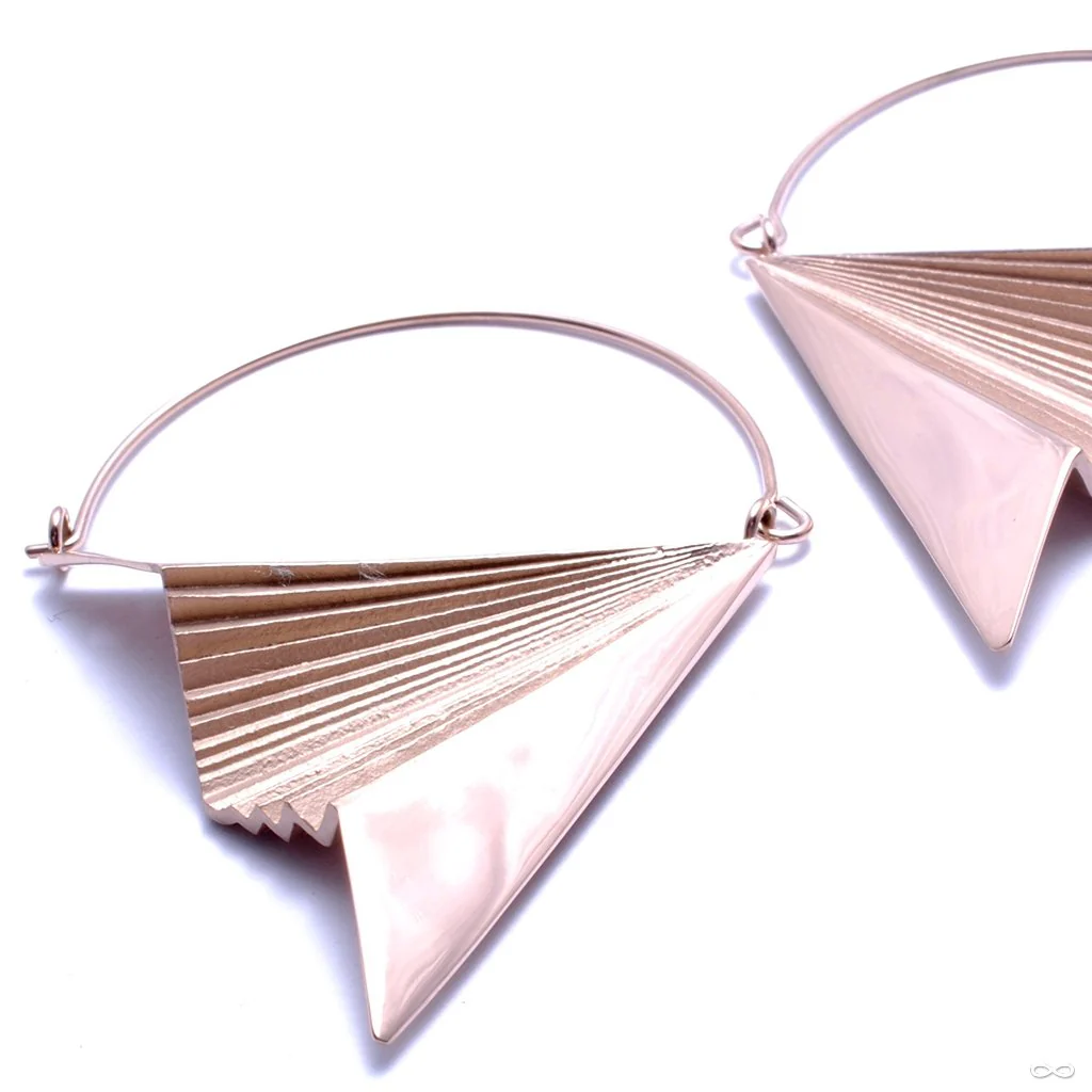 Vector Earrings from Tether Jewelry - Image 5