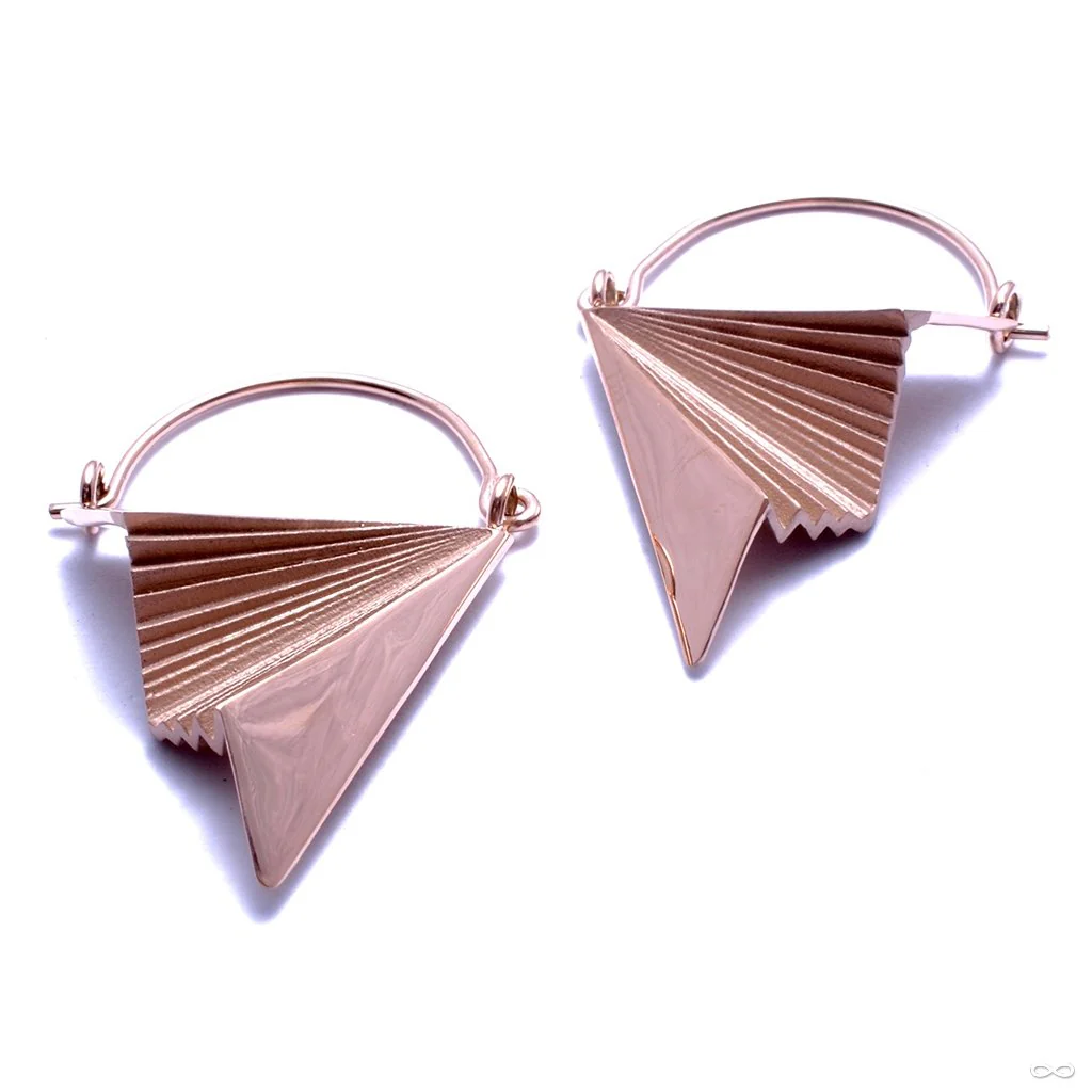 Vector Earrings from Tether Jewelry - Image 7