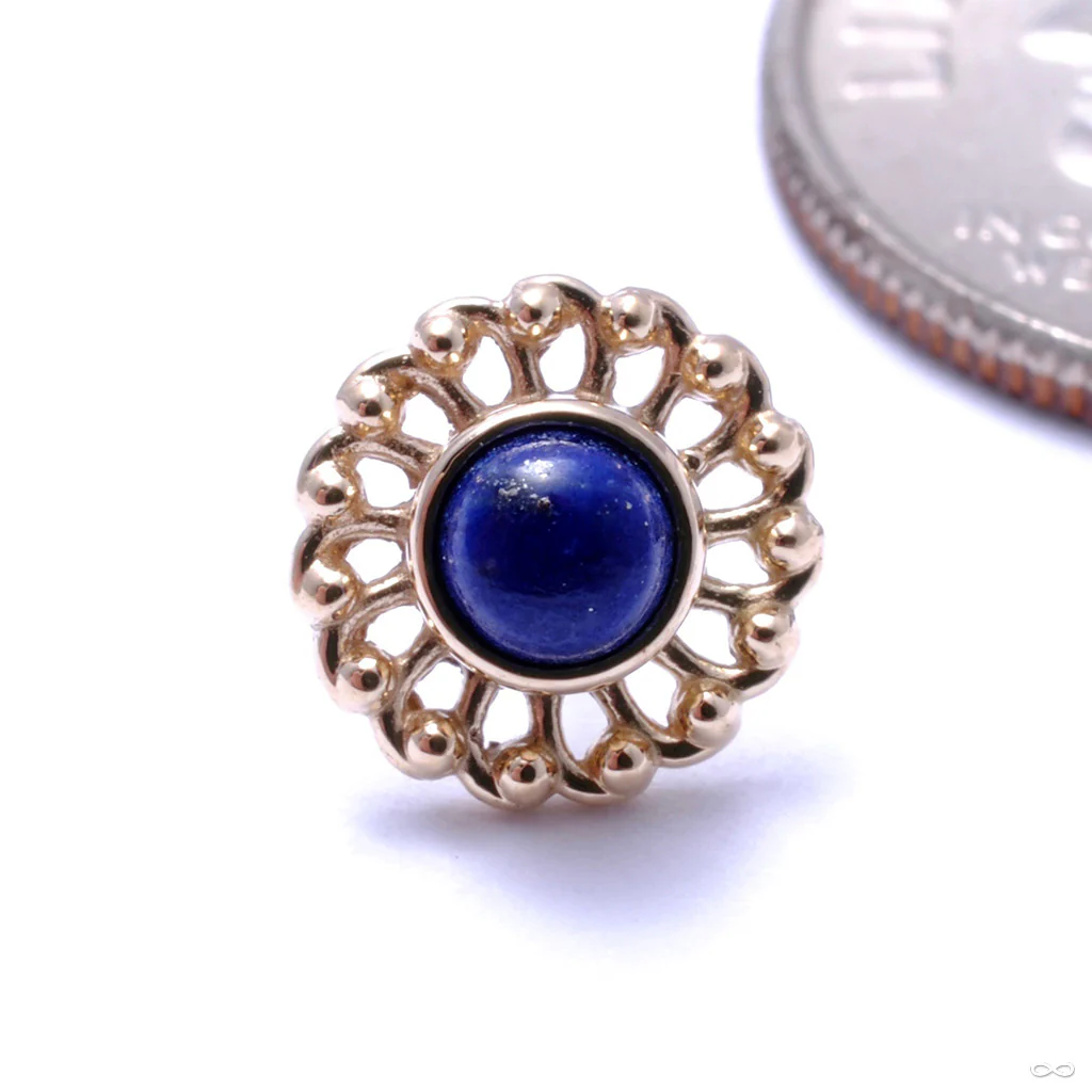 Virtue Press-fit End in Gold from Anatometal - Image 11
