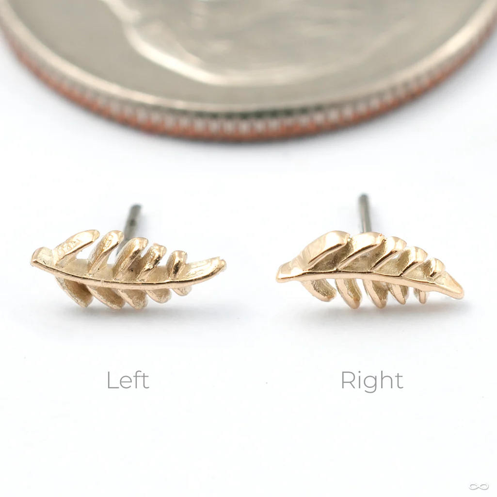 Wee Fronds Press-fit End in Gold from Maya Jewelry - Image 2