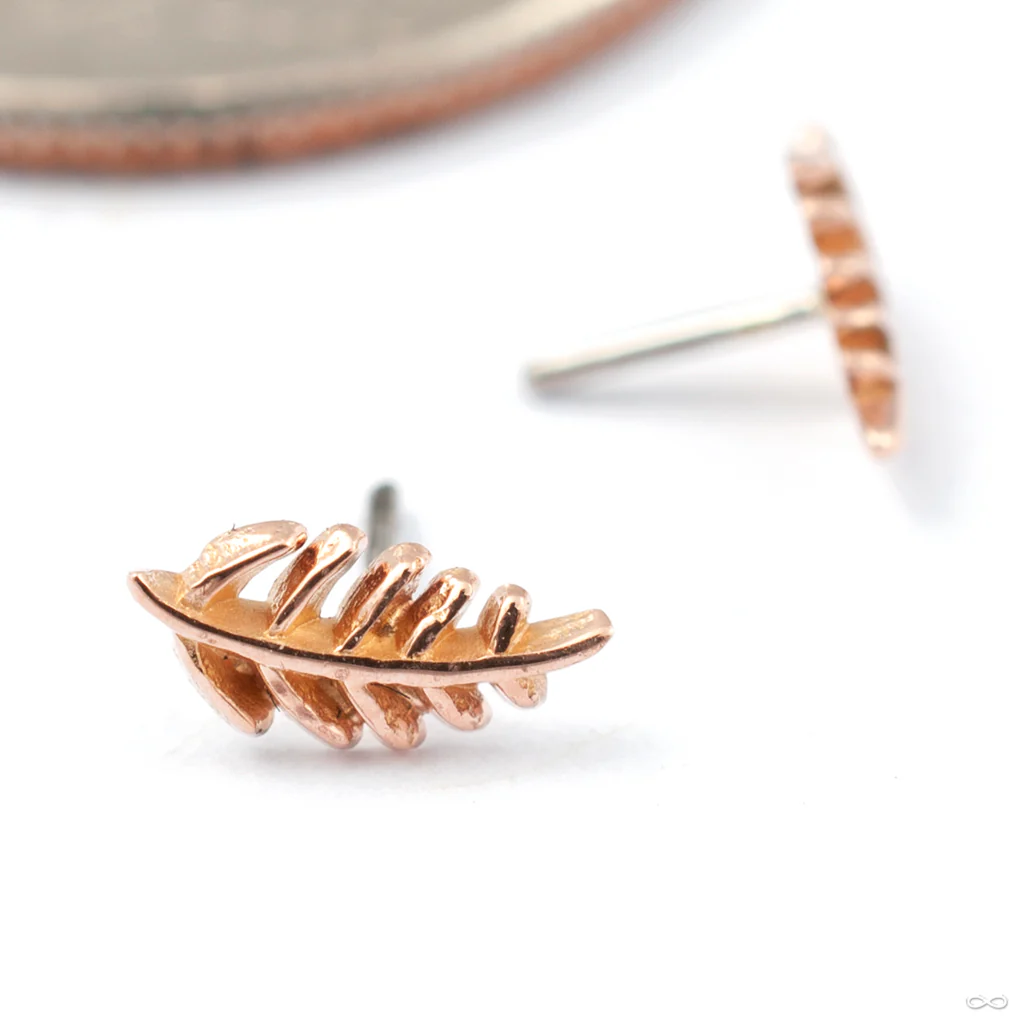 Wee Fronds Press-fit End in Gold from Maya Jewelry - Image 3