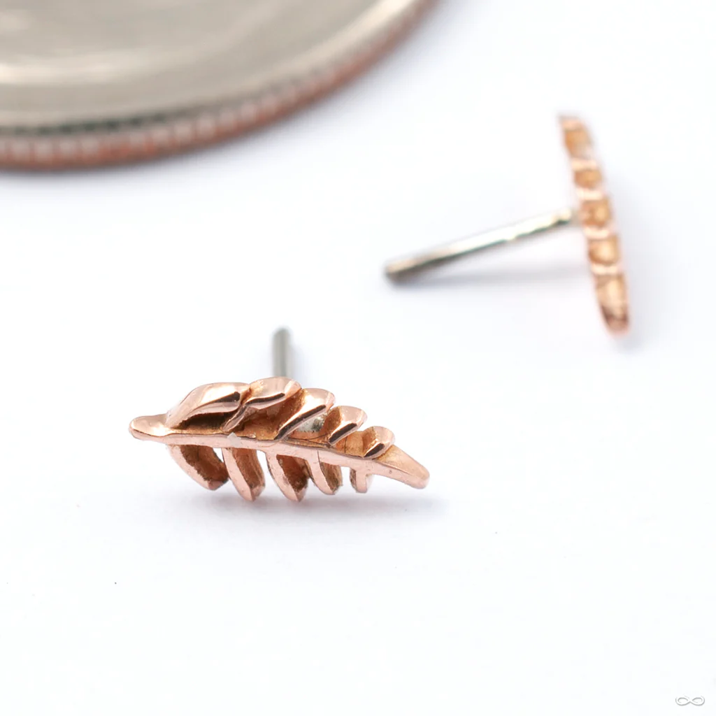 Wee Fronds Press-fit End in Gold from Maya Jewelry - Image 4