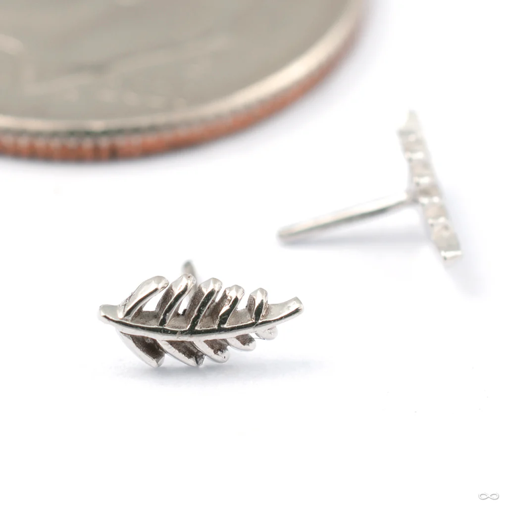 Wee Fronds Press-fit End in Gold from Maya Jewelry - Image 5