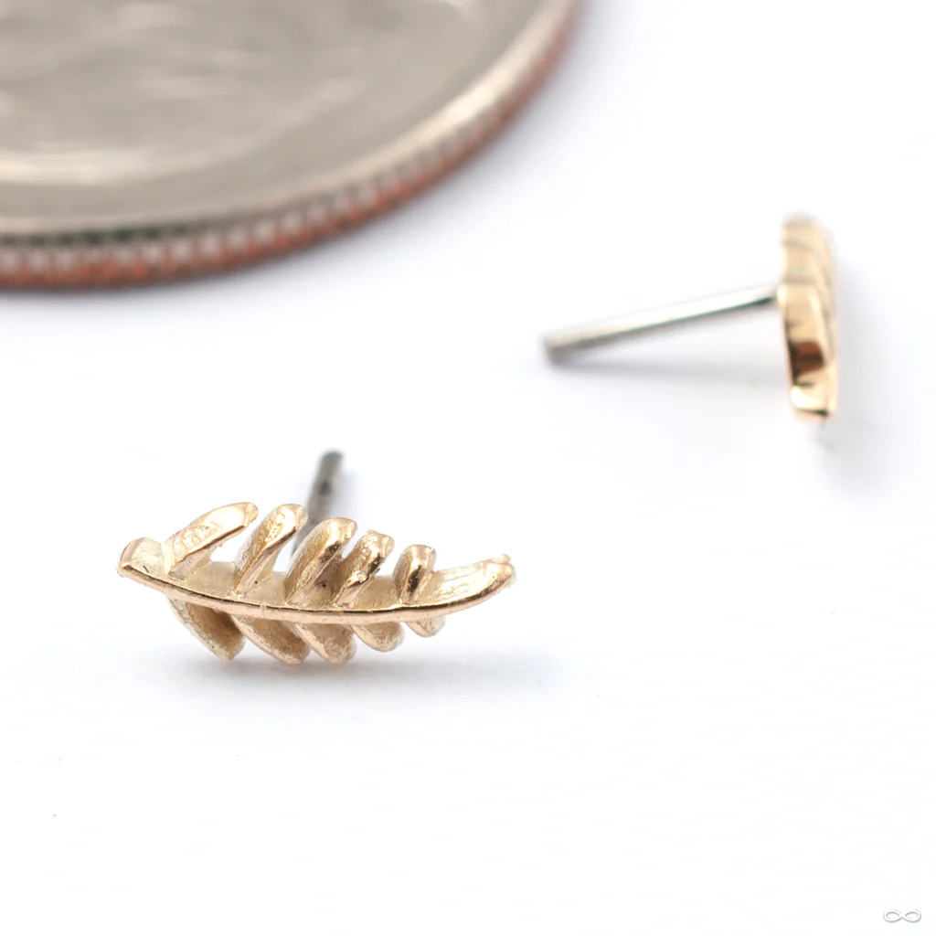 Wee Fronds Press-fit End in Gold from Maya Jewelry - Image 7