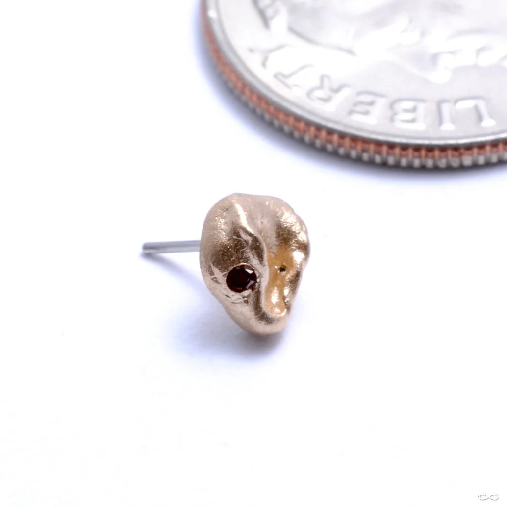 Who Is Sheeeee Press-fit End in Gold from Pupil Hall - Image 3
