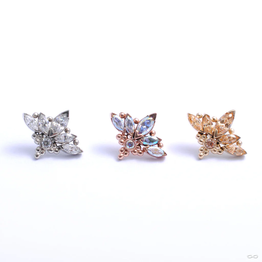 Zasu Press-fit End in Gold from LeRoi