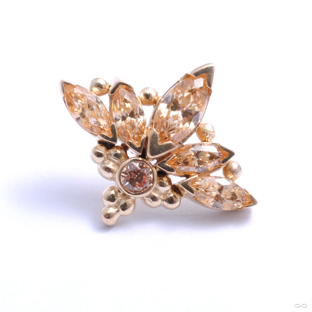 Zasu Press-fit End in Gold from LeRoi - Image 4