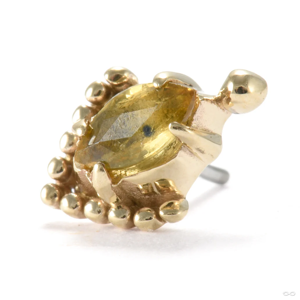 Zenith Press-fit End in Gold from Sacred Symbols - Image 8